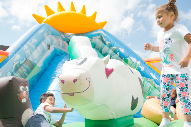 Bouncy castle image1