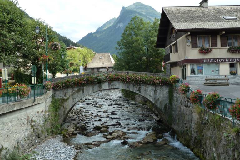 "Le Vieux Pont" Library image1
