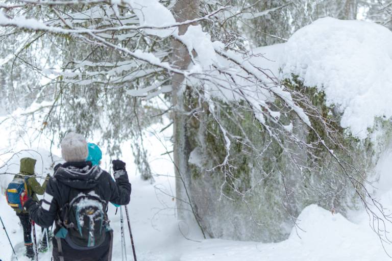Sortie en raquettes avec Magical Snow Treks image2