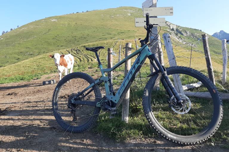 Mountain bike/electric mountain bike outings with EMTB guide Morzine image2
