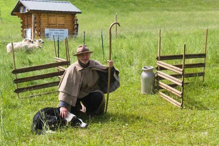 The shepherd and his dogs" animation image1