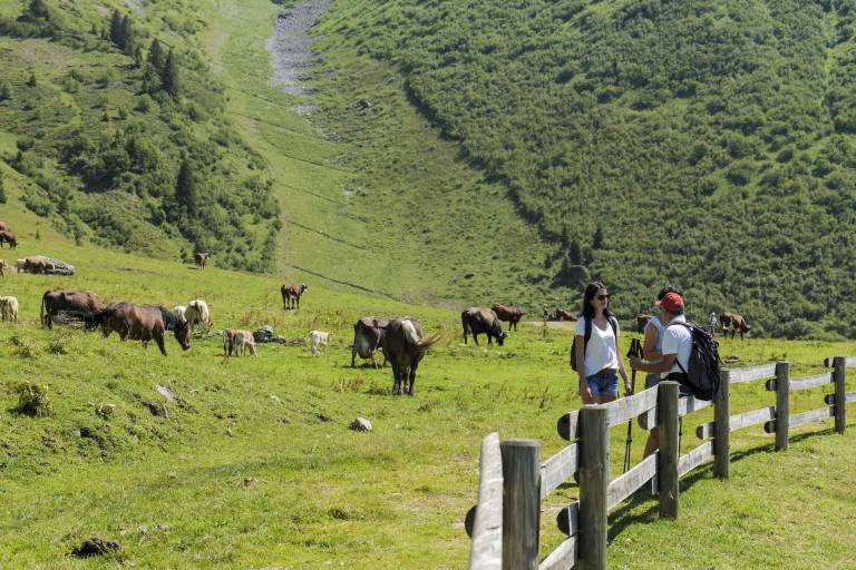 Atelier "Découverte de l'alpage" image1