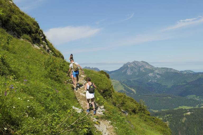 The educational trail on mountain animals image1