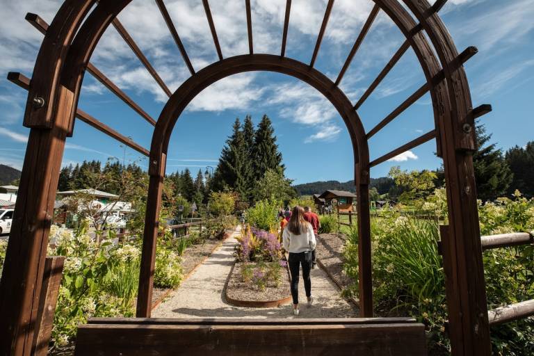 Pere Delavay's botanical Garden image1