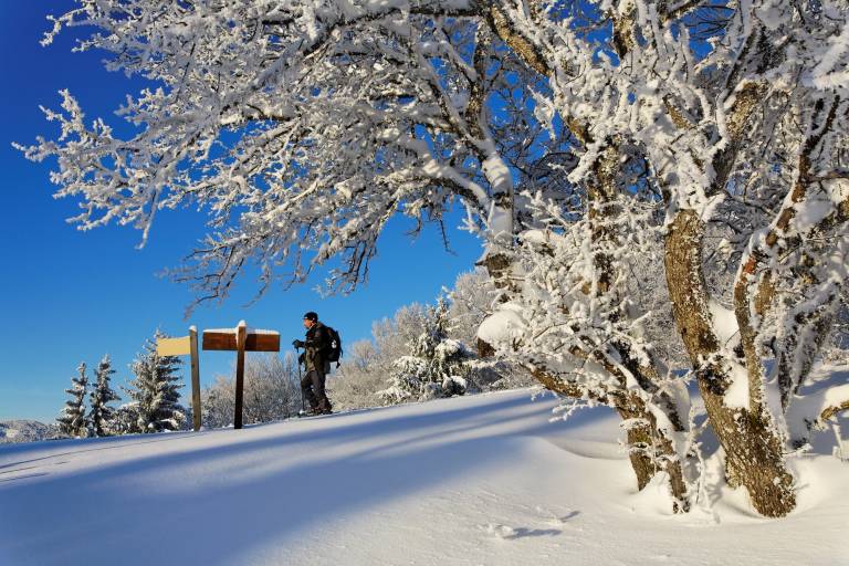Snowshoeing in Hirmentaz image1
