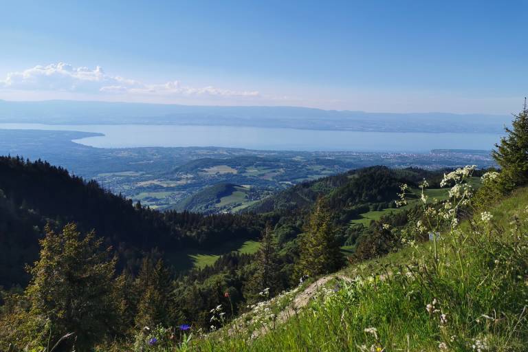 Mont Forchat image1