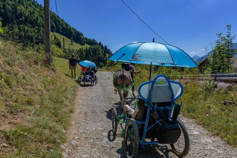 Cariâne - Fauteuil tout terrain tracté par un âne image1