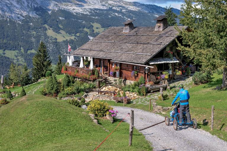 Cimgo - Fauteuil tout terrain de descente image1