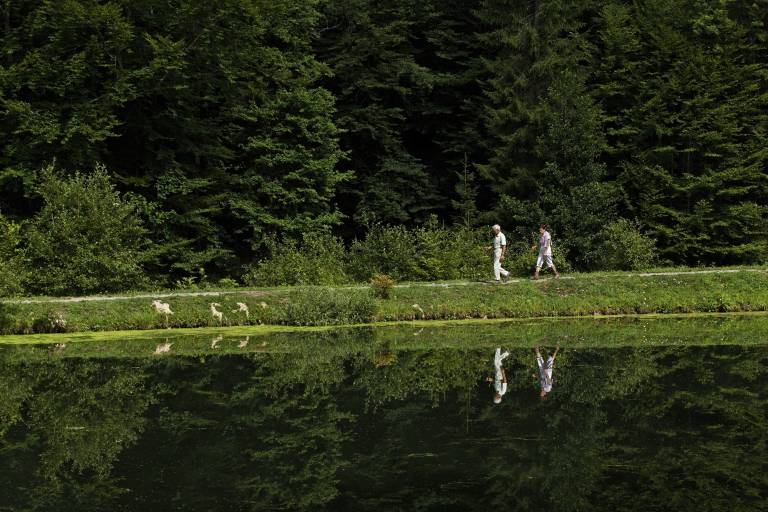 La Crossetaz lake image2