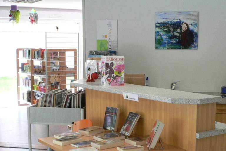 Library of Lullin image2
