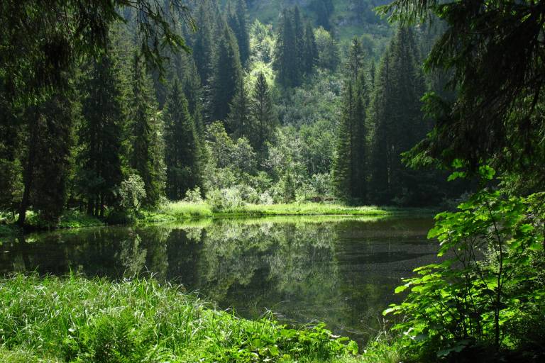 Alpage de Petetoz image2