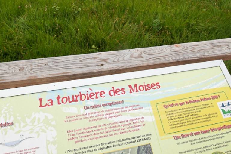 La tourbière des Moises image1
