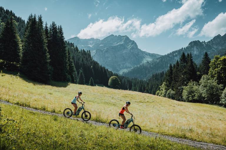 Trottinette Electrique "Découverte des Alpages et du Lac de Vallon" image1