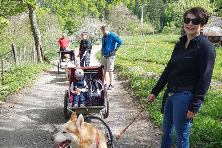 Promenade Sulky attelé avec les chiens de traîneaux image1
