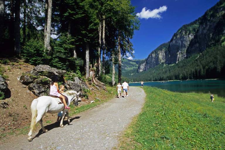 Balade à poney au Lac de Montriond image2