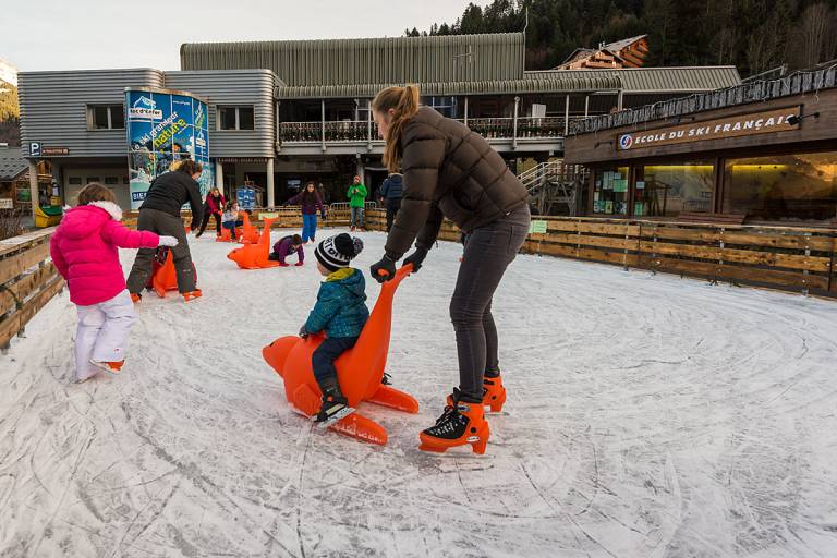 Ice Rink image2