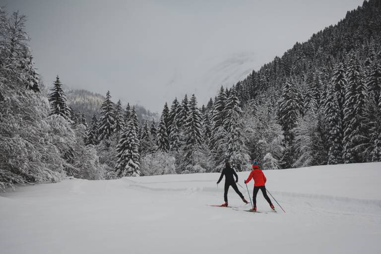Morzine Cross Country Skiing Area image1