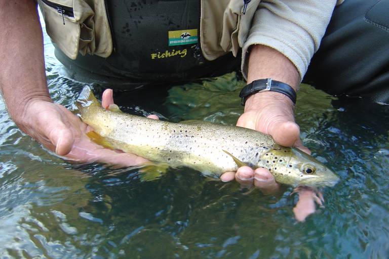 Arve river image2
