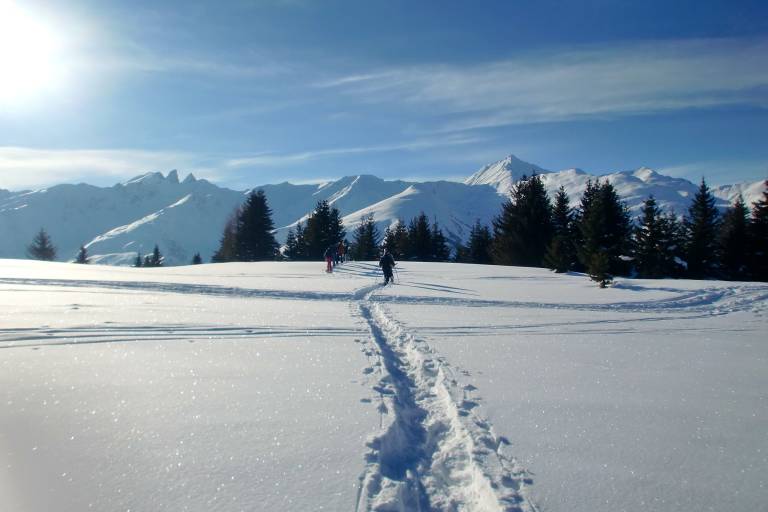 Snowshoes "Travel in altitude" image1