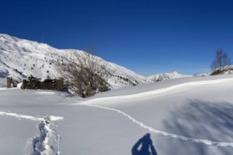 Journée raquettes "Passeur d’horizons" image1