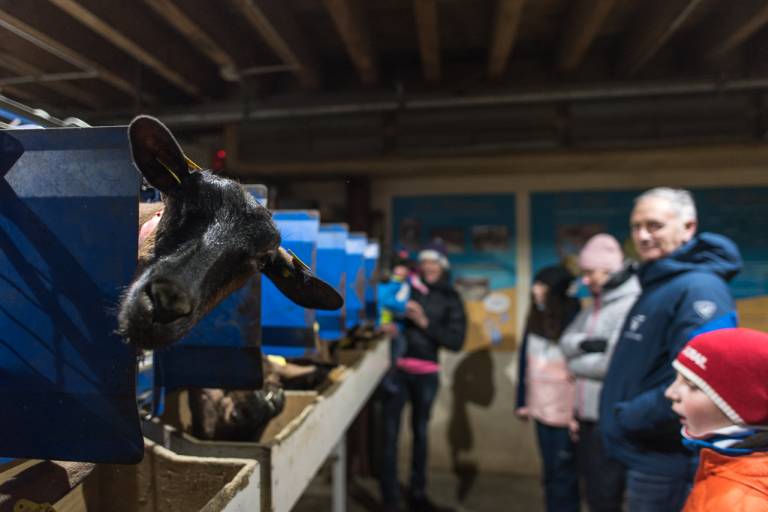Apéritif à la ferme (seulement l'été) image1