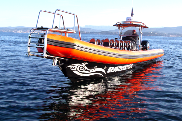 Sea Adventure image2