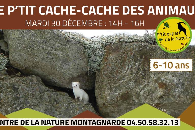 Les P'tits Experts de la Nature® - Le P'tit cache-cache des animaux image1