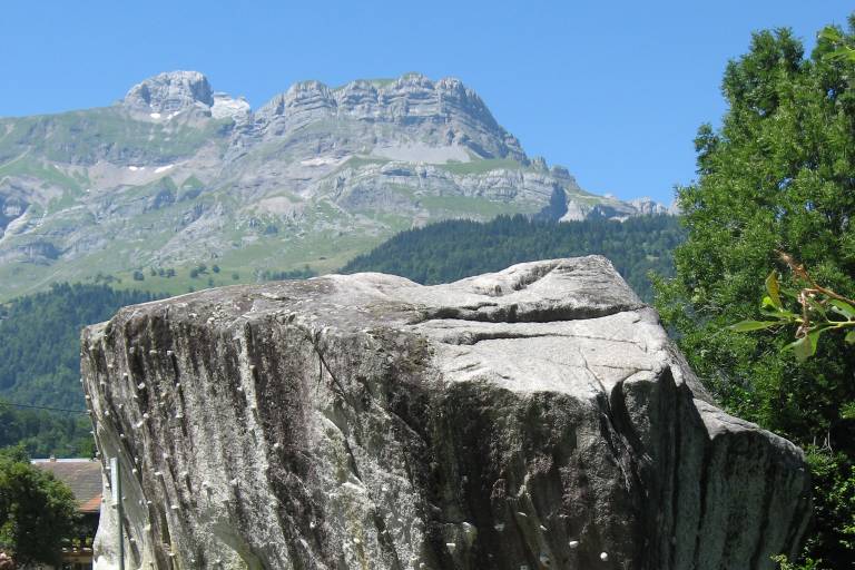 Erratic boulder - Granite image1