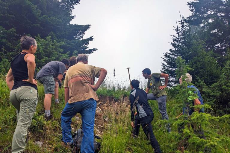 BIODIV'ILETTES - Chantiers de lutte contre les plantes invasives image1