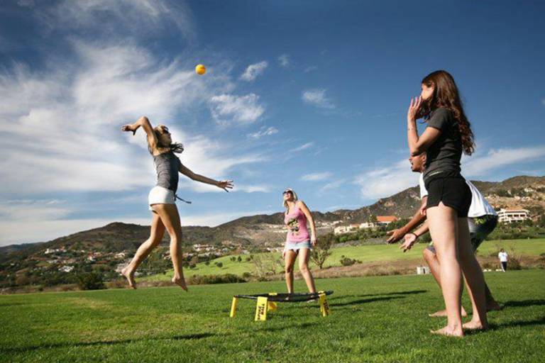 Spikeball image1