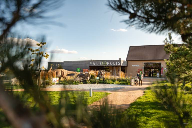 Paléopolis, la colline aux dinosaures image2