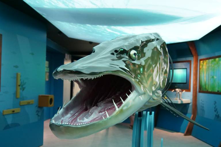 Aqualis, l'expérience lac image1