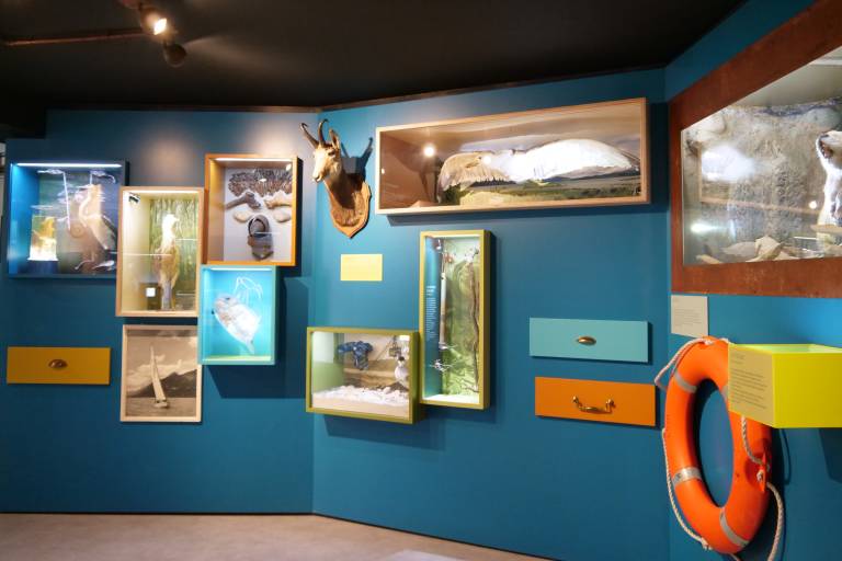 Aqualis, l'expérience lac image2