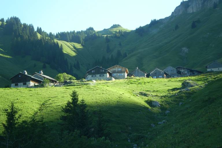 Alpage GAEC "La ferme des Champs" image1