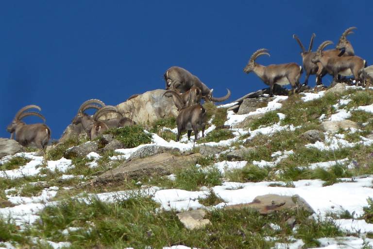La randonnée des lacs avec accompagnateur image1