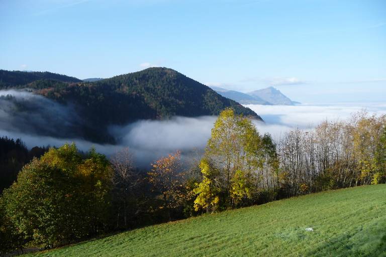 Guided sensory walk: reconnect with nature and yourself image2