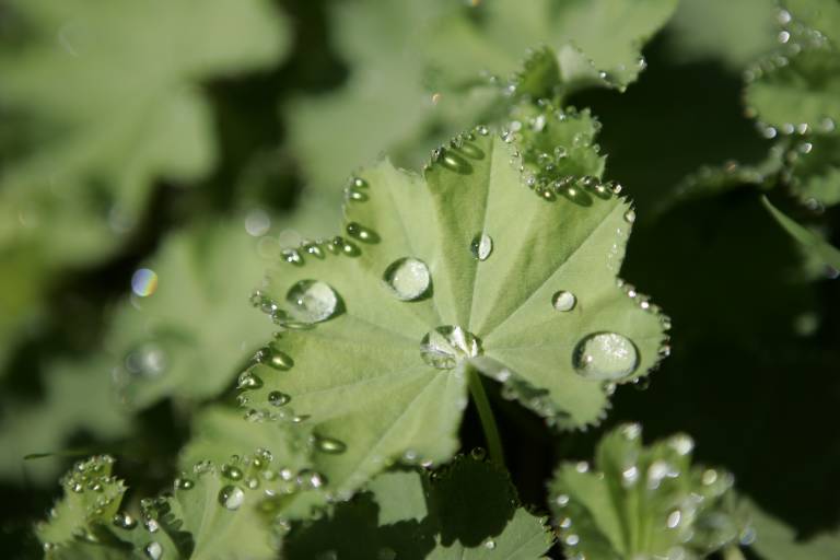 Guided sensory walk: reconnect with nature and yourself image1