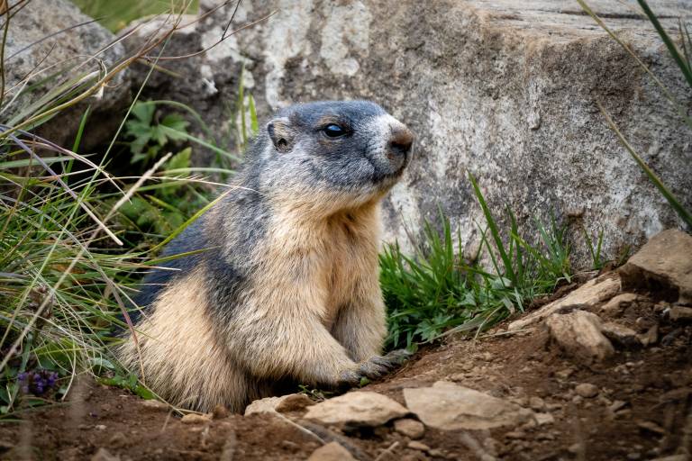 Guided hiking tours, special discovery image2