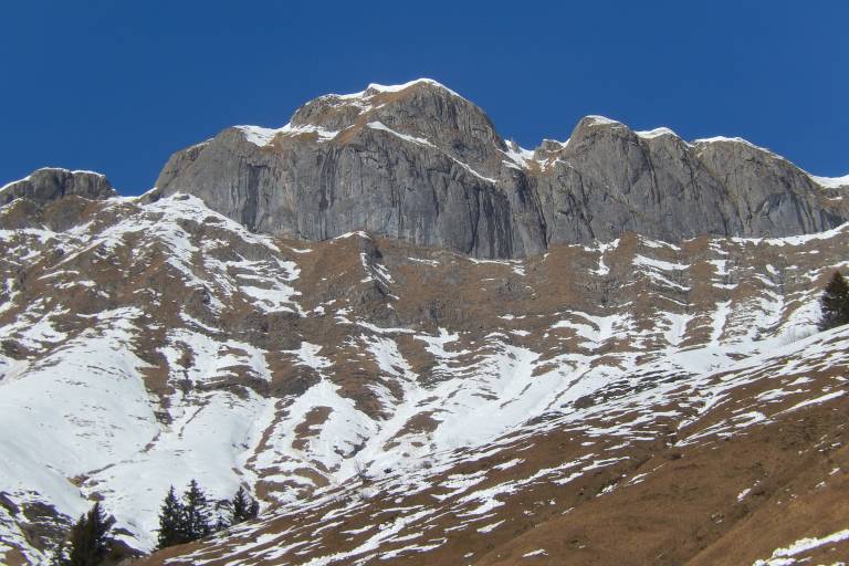 Special trapper snowshoe hiking image2