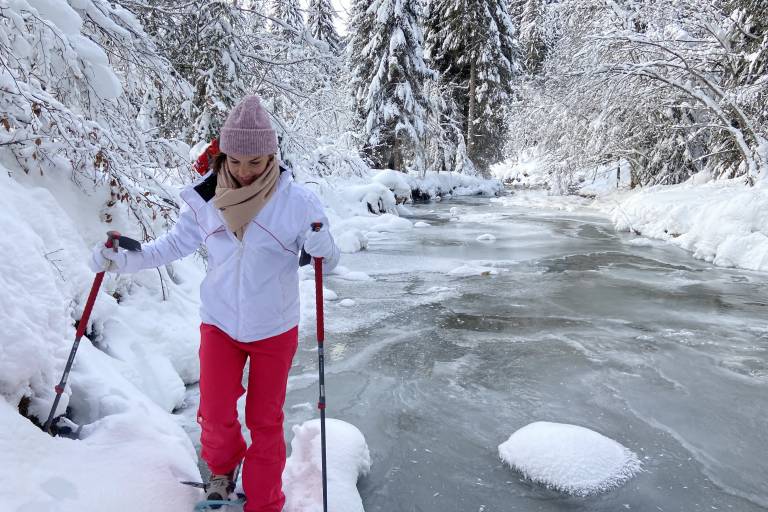 Sortie découverte - Raquettes Ruisseling image1