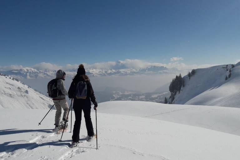 Accompanied snowshoe outing: A journey to the rhythm of the snowflakes image1