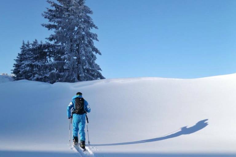 Discovery day image2