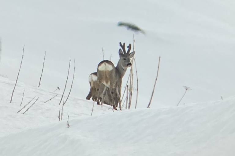 HORIZONS Nature et montagnes à la carte image2