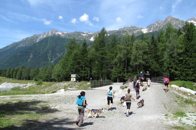 Cani Rando - Huskydalen image1