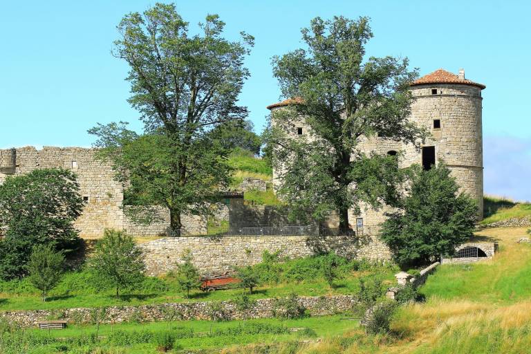 Château de Craux image2