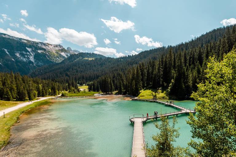 Lac de la Rosière image1