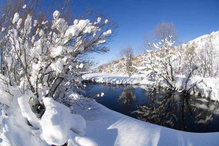 Plan d'eau des Bruyères image2