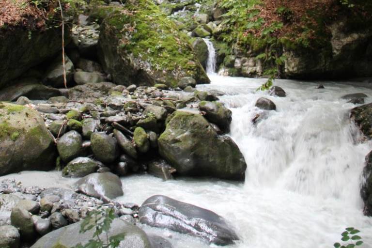 Bois de Cythère image1