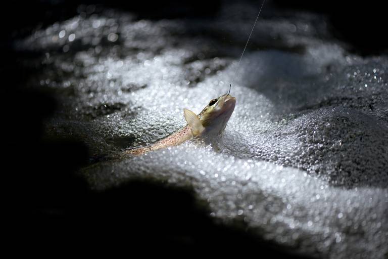 Parcours pêche « 1 poisson » sur le Doron de Belleville en amont des Ménuires image1