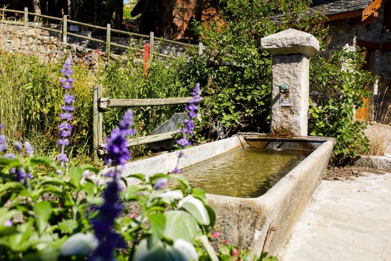 Communal Basin Morel image1